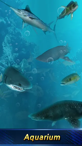 Monster Fishing 2024 [МОД: Все открыто, Дополнительные деньги и Меню MOD] Screenshot 2