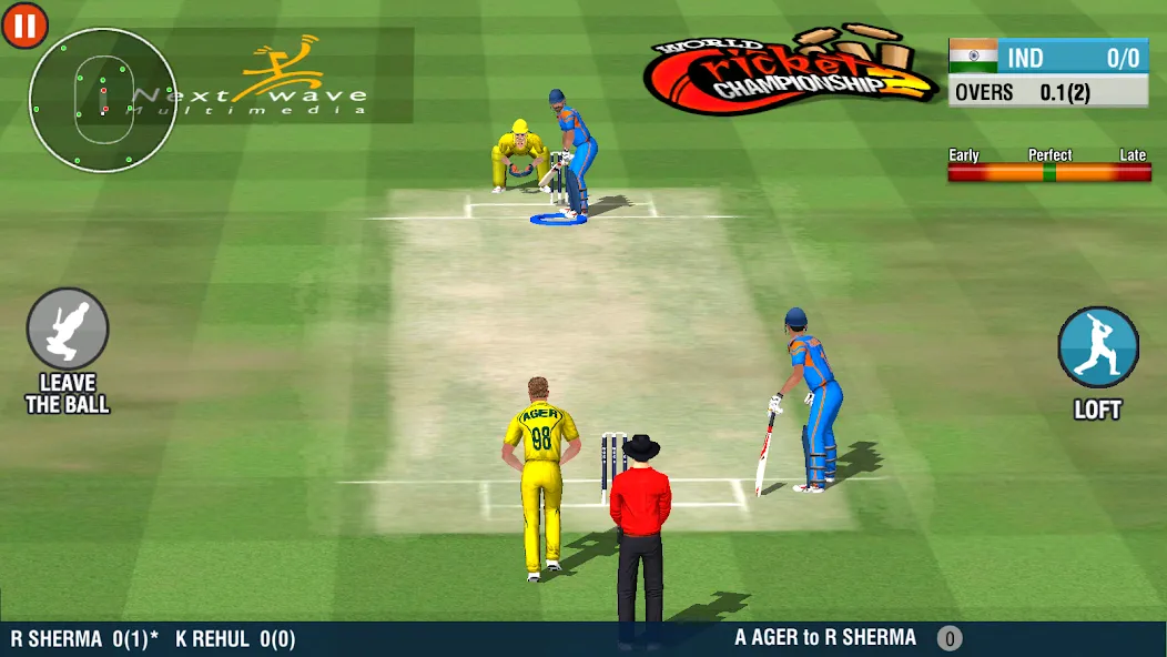 World Cricket Championship 2 (Ворлд Крикет Чемпионшип 2) [МОД: Меню, Бесконечные монеты и Открытые уровни] Screenshot 4