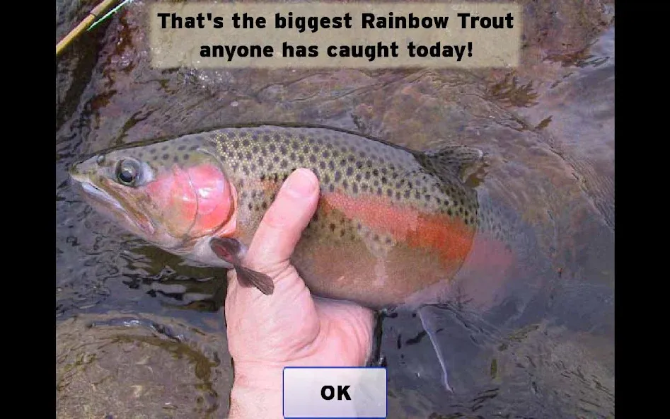 Fly Fishing Simulator (Флай Фишинг Симулятор) [МОД: Много монет, Открытые уровни и Мега MOD] Screenshot 5