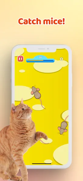 Games for Cat－Toy Mouse & Fish [МОД: Меню, Бесконечные монеты и Открытые уровни] Screenshot 1