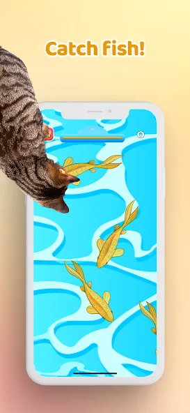 Games for Cat－Toy Mouse & Fish [МОД: Меню, Бесконечные монеты и Открытые уровни] Screenshot 3