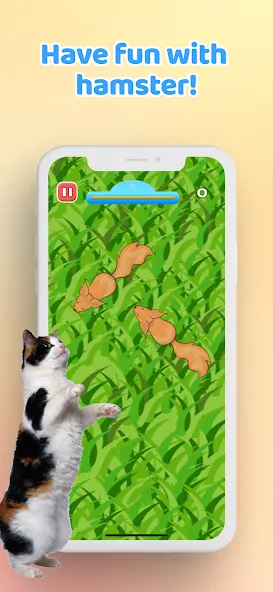 Games for Cat－Toy Mouse & Fish [МОД: Меню, Бесконечные монеты и Открытые уровни] Screenshot 5