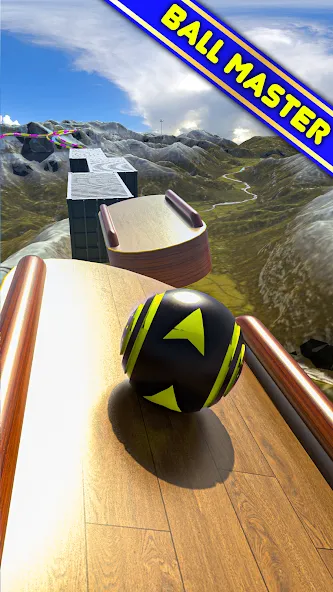 Rolling Ball Master Race Games (Роликовые игры соревнований мастеров) [МОД: Много денег, Монет и Все открыто] Screenshot 1