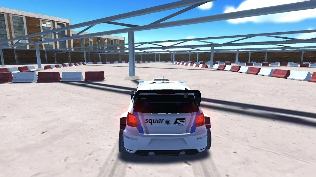 Rally Racer Dirt [МОД: Много монет, Открытые уровни и Мега MOD] Screenshot 2