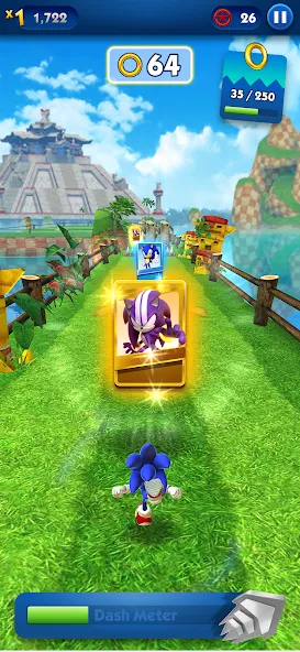 Sonic Dash - Endless Running (Соник Дэш) [МОД: Деньги, Монеты и Меню MOD] Screenshot 4