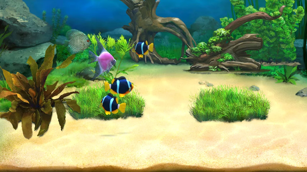 Aquantika [МОД: Деньги, Монеты и Меню MOD] Screenshot 2