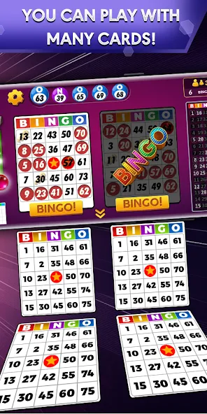 Bingo - Offline Bingo Game [МОД: Все открыто, Дополнительные деньги и Меню MOD] Screenshot 1