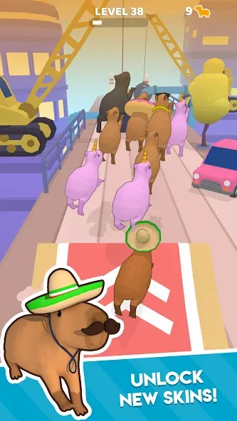 Capybara Rush (Капибара Раш) [МОД: Бесконечные деньги, Монеты и Мега MOD] Screenshot 3