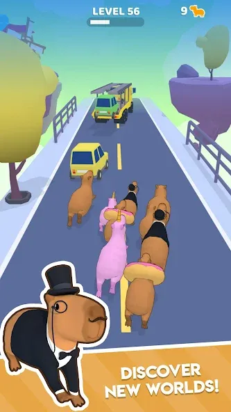 Capybara Rush (Капибара Раш) [МОД: Бесконечные деньги, Монеты и Мега MOD] Screenshot 4