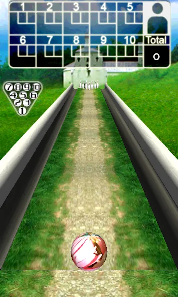 3D Bowling [МОД: Меню, Бесконечные монеты и Открытые уровни] Screenshot 4