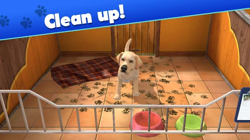 Pet World - My Animal Shelter (Пет Ворлд) [МОД: Деньги, Монеты и Меню MOD] Screenshot 1