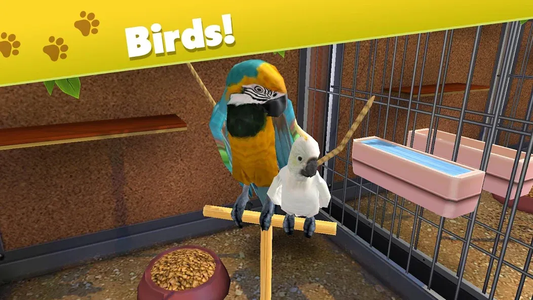 Pet World - My Animal Shelter (Пет Ворлд) [МОД: Деньги, Монеты и Меню MOD] Screenshot 2