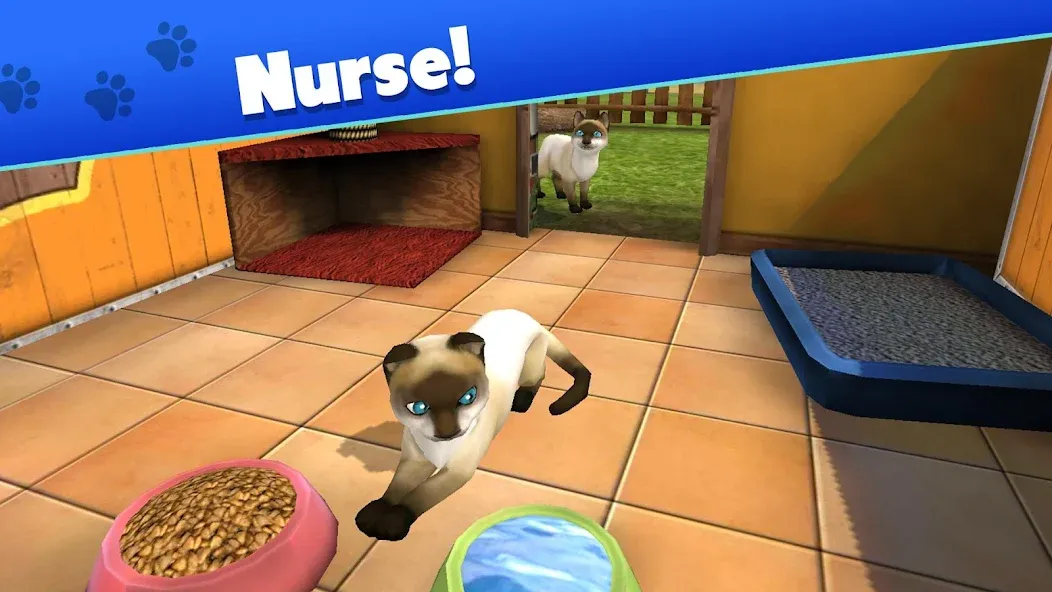 Pet World - My Animal Shelter (Пет Ворлд) [МОД: Деньги, Монеты и Меню MOD] Screenshot 3