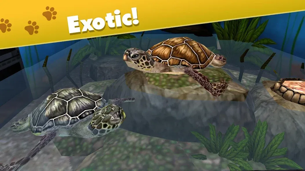 Pet World - My Animal Shelter (Пет Ворлд) [МОД: Деньги, Монеты и Меню MOD] Screenshot 4