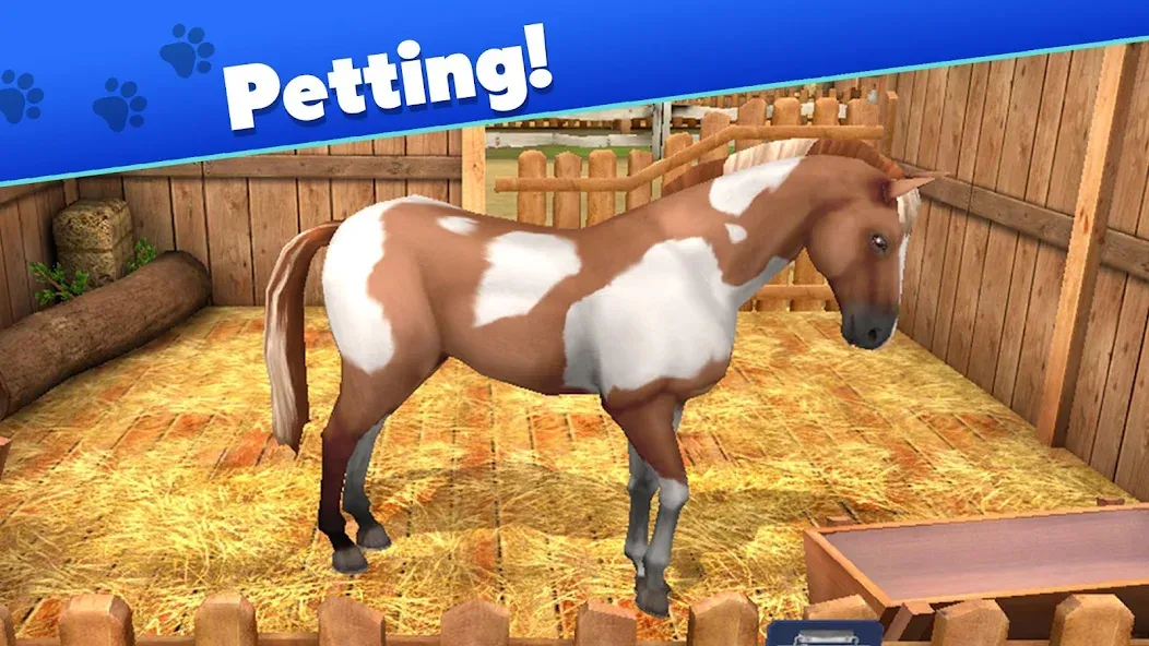 Pet World - My Animal Shelter (Пет Ворлд) [МОД: Деньги, Монеты и Меню MOD] Screenshot 5