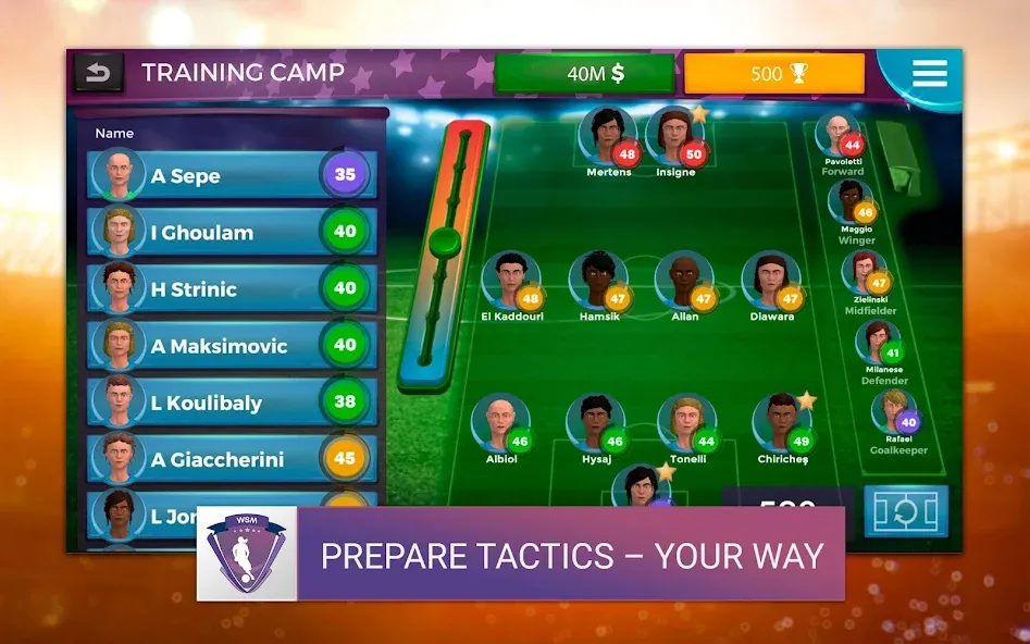 WSM - Women's Soccer Manager (ВСМ) [МОД: Деньги, Монеты и Меню MOD] Screenshot 5