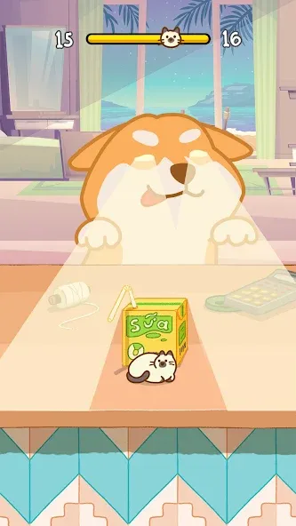 Hide And Seek: Cute Cat Escape [МОД: Много денег, Монет и Все открыто] Screenshot 3