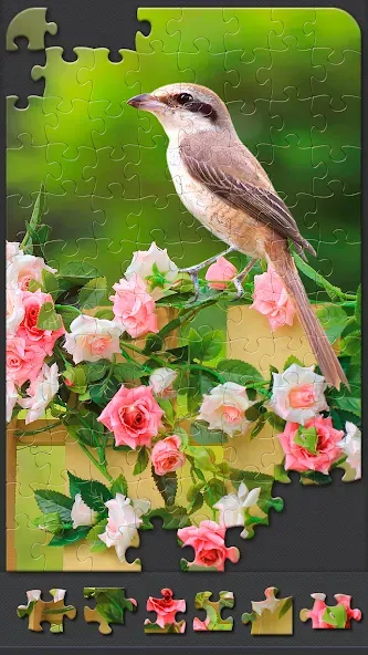 Jigsaw Puzzles for Adults [МОД: Бесконечные деньги, Монеты и Мега MOD] Screenshot 3
