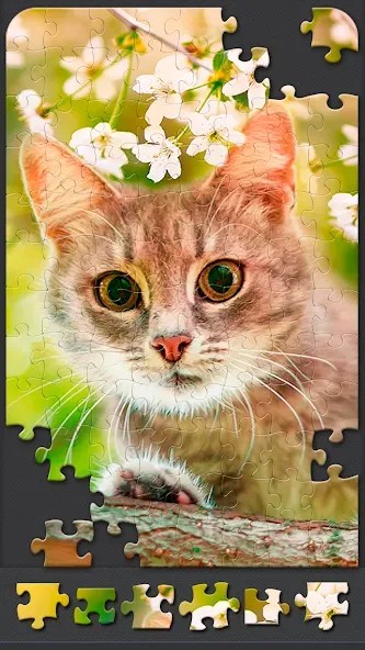 Jigsaw Puzzles for Adults [МОД: Бесконечные деньги, Монеты и Мега MOD] Screenshot 5