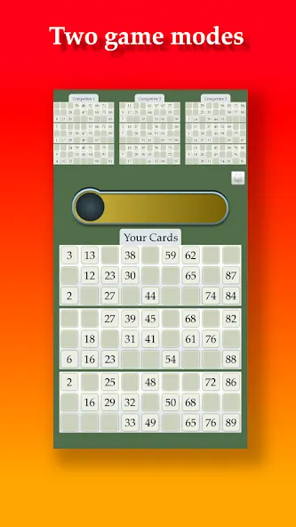 Lotto [МОД: Деньги, Монеты и Меню MOD] Screenshot 2