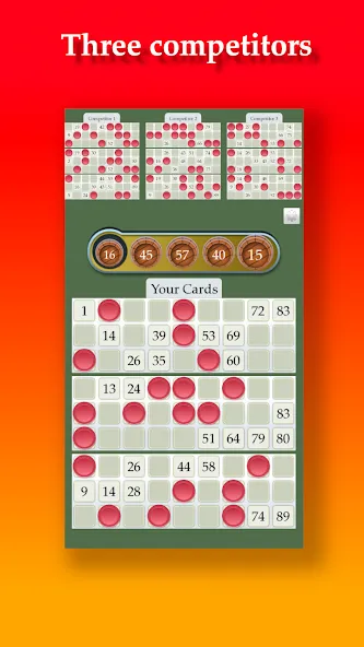 Lotto [МОД: Деньги, Монеты и Меню MOD] Screenshot 3