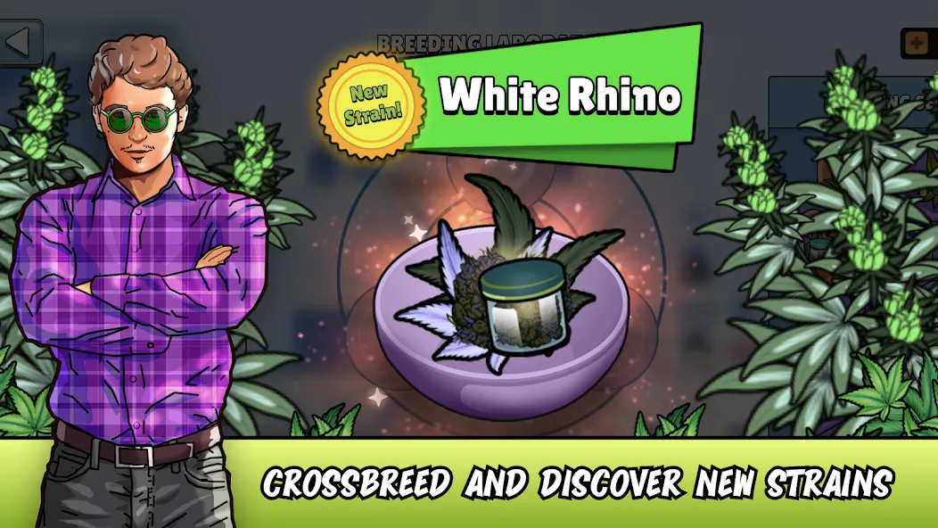 Weed City - Hemp Farm Tycoon (Уид Сити) [МОД: Много денег, Монет и Все открыто] Screenshot 1