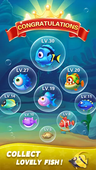 Block Ocean 1010 Puzzle Games (Блок Океан 1010 Головоломки) [МОД: Все открыто, Дополнительные деньги и Меню MOD] Screenshot 5