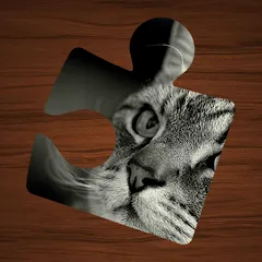 Скачать Animal Puzzles: Jigsaw Mosaics [МОД: Много денег, Монет и Все открыто] | Взлом Animal Puzzles: Jigsaw Mosaics на Андроид