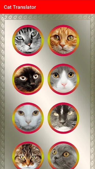 Translator for Cats Prank [МОД: Бесконечные деньги, Монеты и Мега MOD] Screenshot 3