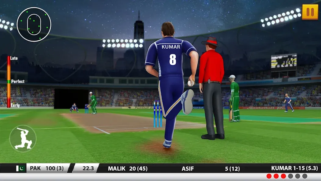 World Cricket Games :T20 Cup (Ворлд Крикет Геймс) [МОД: Много монет, Открытые уровни и Мега MOD] Screenshot 2