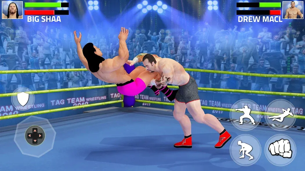 Tag Team Wrestling Game (Таг Тим Реслинг Гейм) [МОД: Много денег, Монет и Все открыто] Screenshot 5