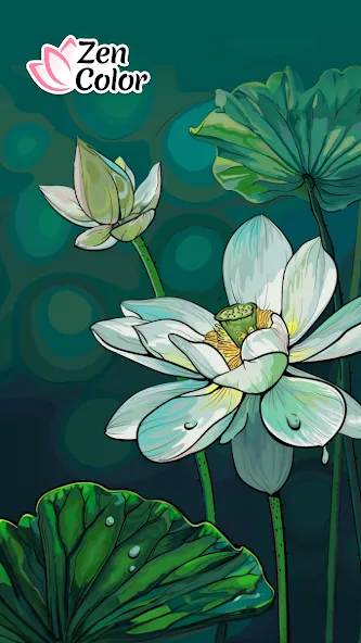 Zen Color - Color By Number (Зен Колор) [МОД: Много монет, Открытые уровни и Мега MOD] Screenshot 1