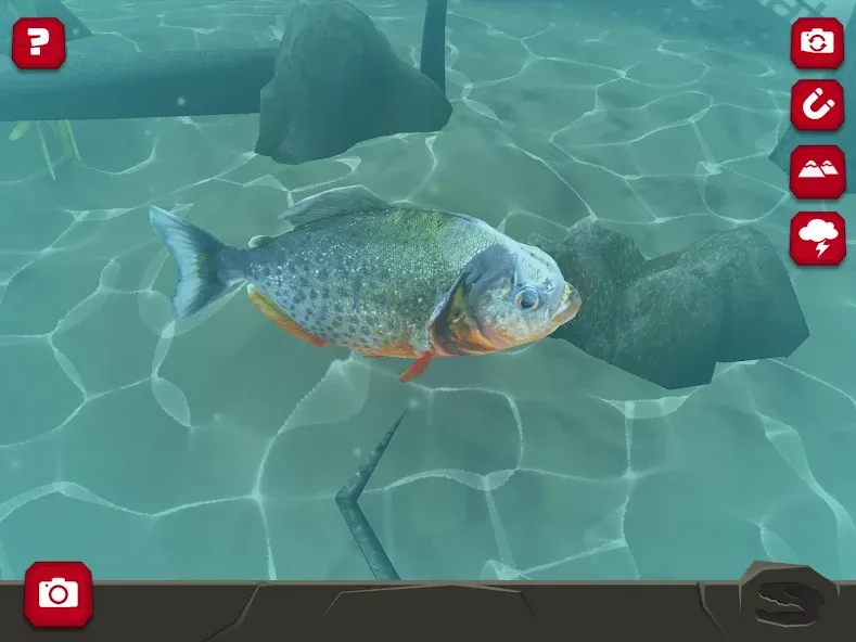 Legendary Creatures (Существо Легендарные) [МОД: Деньги, Монеты и Меню MOD] Screenshot 2