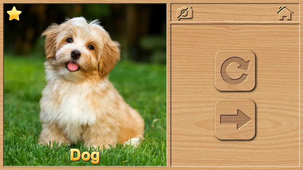 Animal Puzzles for Kids [МОД: Много денег, Монет и Все открыто] Screenshot 2