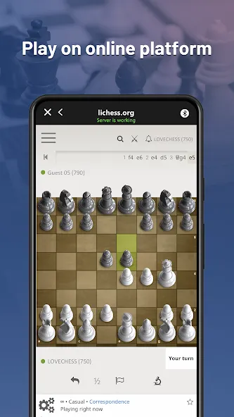 Chessnut (Честнат) [МОД: Все открыто, Дополнительные деньги и Меню MOD] Screenshot 2