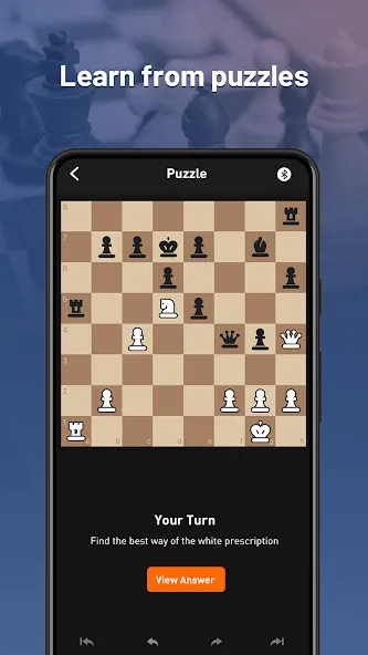 Chessnut (Честнат) [МОД: Все открыто, Дополнительные деньги и Меню MOD] Screenshot 3