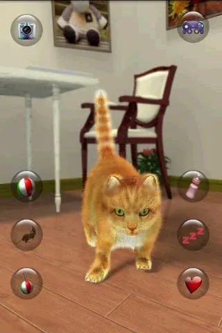 Talking Lovely Cat [МОД: Много денег, Монет и Все открыто] Screenshot 1