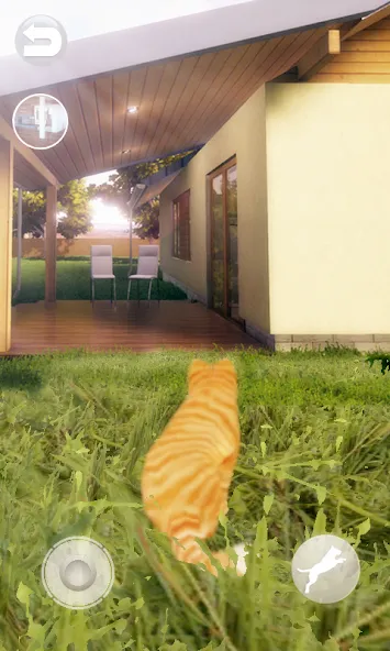 Talking Lovely Cat [МОД: Много денег, Монет и Все открыто] Screenshot 2