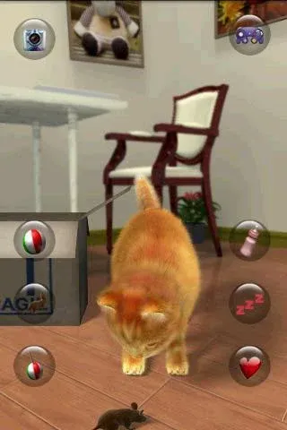 Talking Lovely Cat [МОД: Много денег, Монет и Все открыто] Screenshot 3