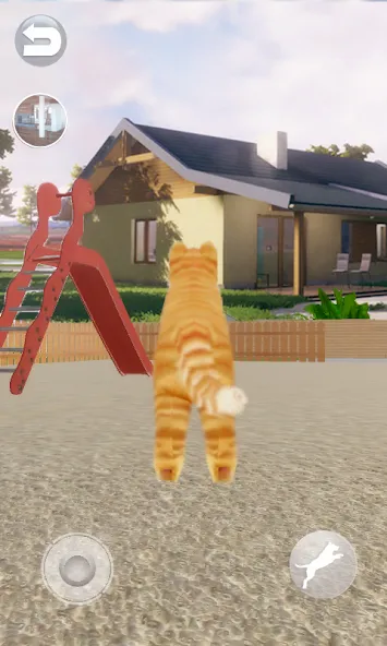 Talking Lovely Cat [МОД: Много денег, Монет и Все открыто] Screenshot 4