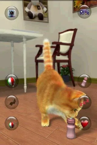 Talking Lovely Cat [МОД: Много денег, Монет и Все открыто] Screenshot 5