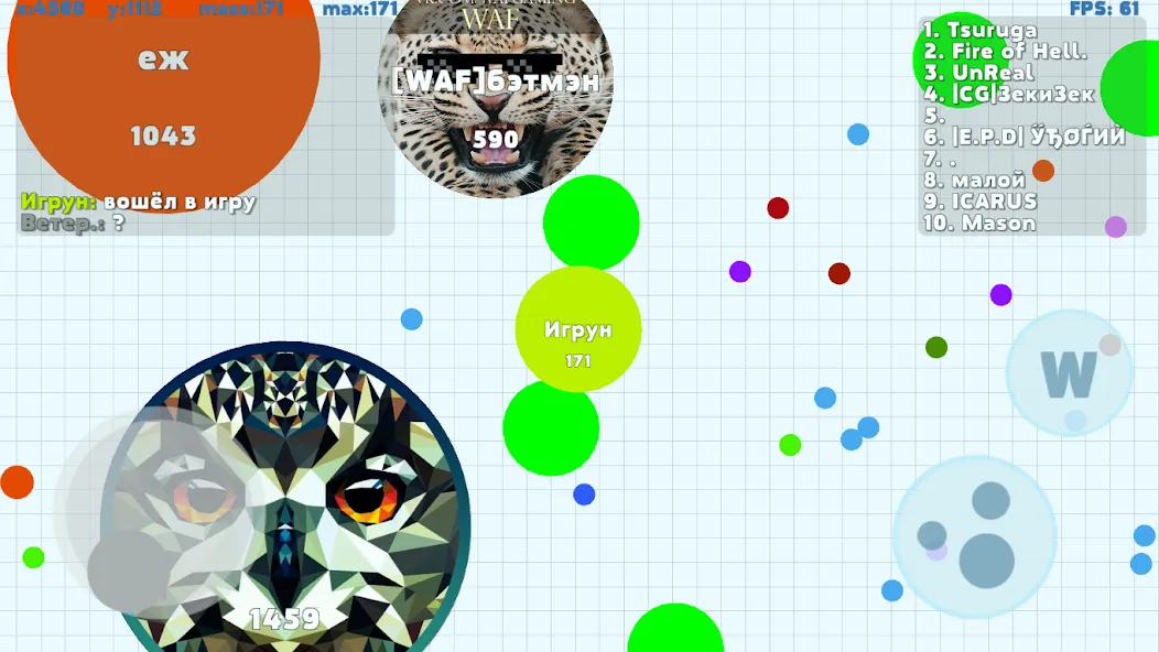 Petri Dish [МОД: Все открыто, Дополнительные деньги и Меню MOD] Screenshot 3