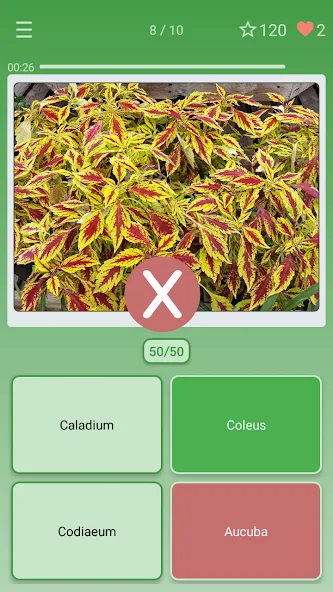 Quiz: Flowers, Plants [МОД: Меню, Бесконечные монеты и Открытые уровни] Screenshot 3