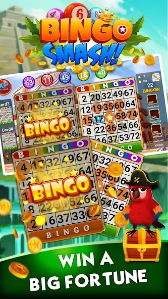 Download Bingo Smash Lucky Bingo Travel [MOD Unlimited coins] latest version 1.1.2 for Android