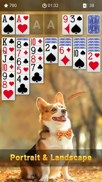 Download Solitaire Lite [MOD Unlimited coins] latest version 1.5.2 for Android
