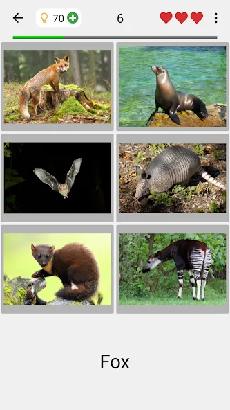Download Animals Quiz Learn All Mammals [MOD Unlocked] latest version 2.6.8 for Android
