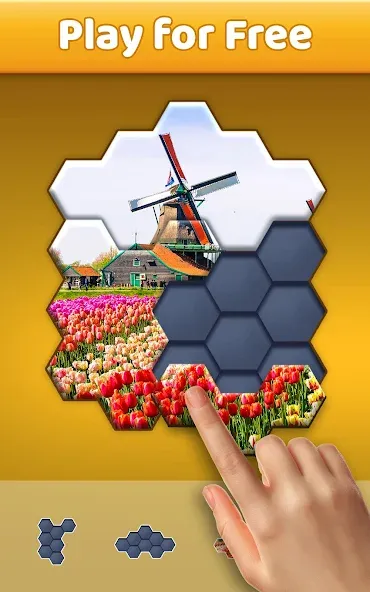 Download Hexa Jigsaw Puzzle ® [MOD MegaMod] latest version 1.4.2 for Android