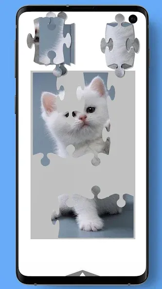 Download Jigsaw Puzzle Games For Adults [MOD MegaMod] latest version 0.2.1 for Android