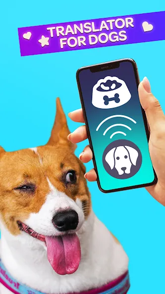 Download Dog Translator Pet Speak Talk [MOD MegaMod] latest version 1.5.2 for Android