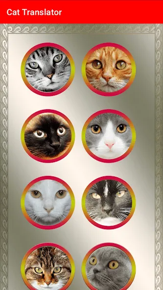 Download Translator for Cats Prank [MOD Unlocked] latest version 2.6.3 for Android